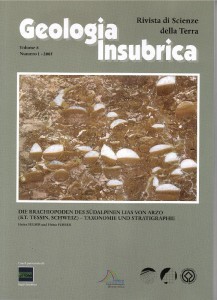 Volume 8 - n. 1 2005